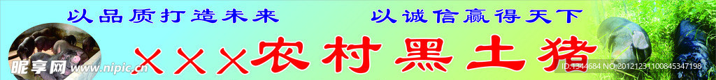 土猪