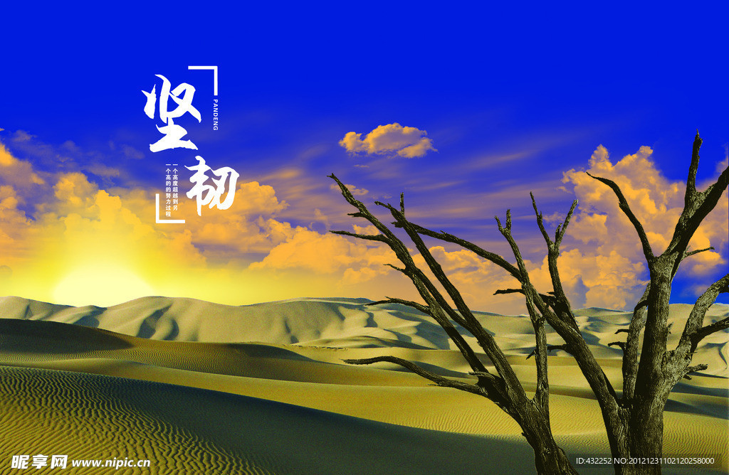 沙漠风光
