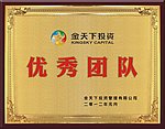 优秀团队奖牌