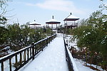 下渚湖雪景