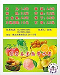 水果 名片