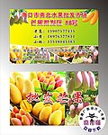 芒果批发 名片