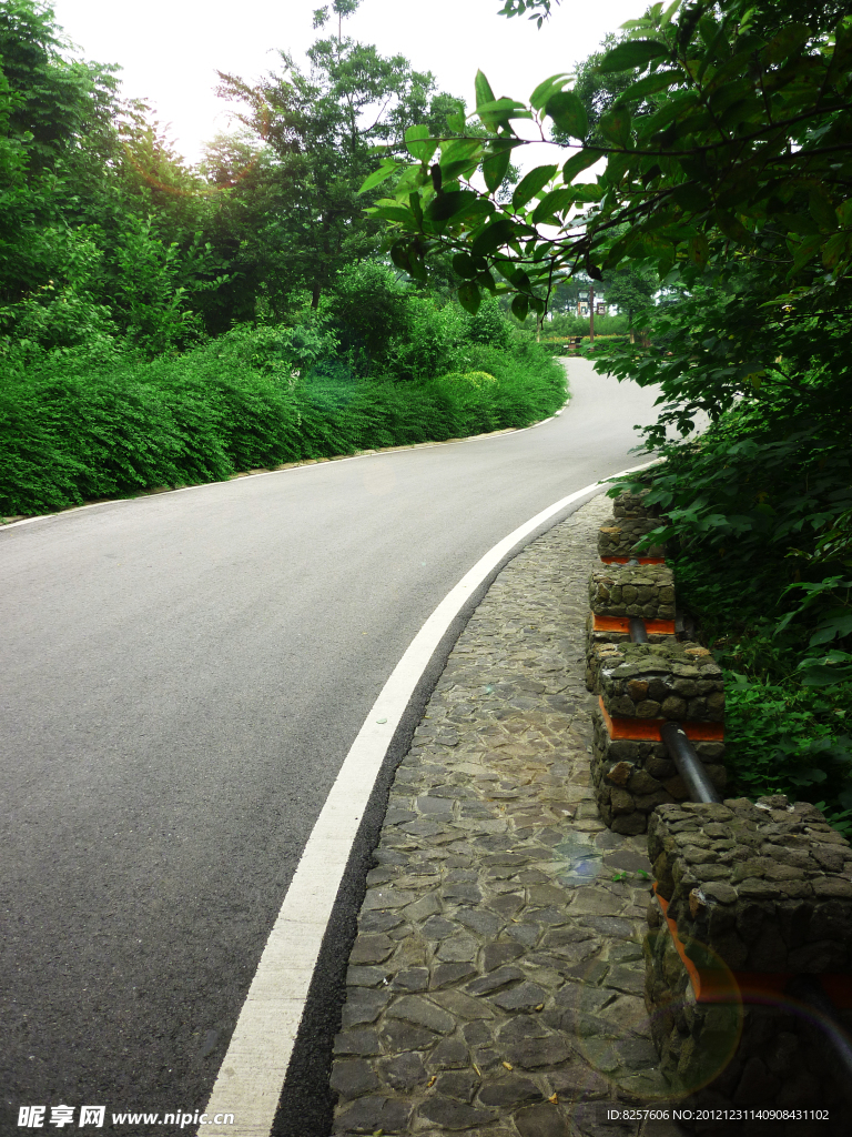 方山_柏油山路