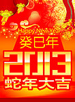 2013 蛇年