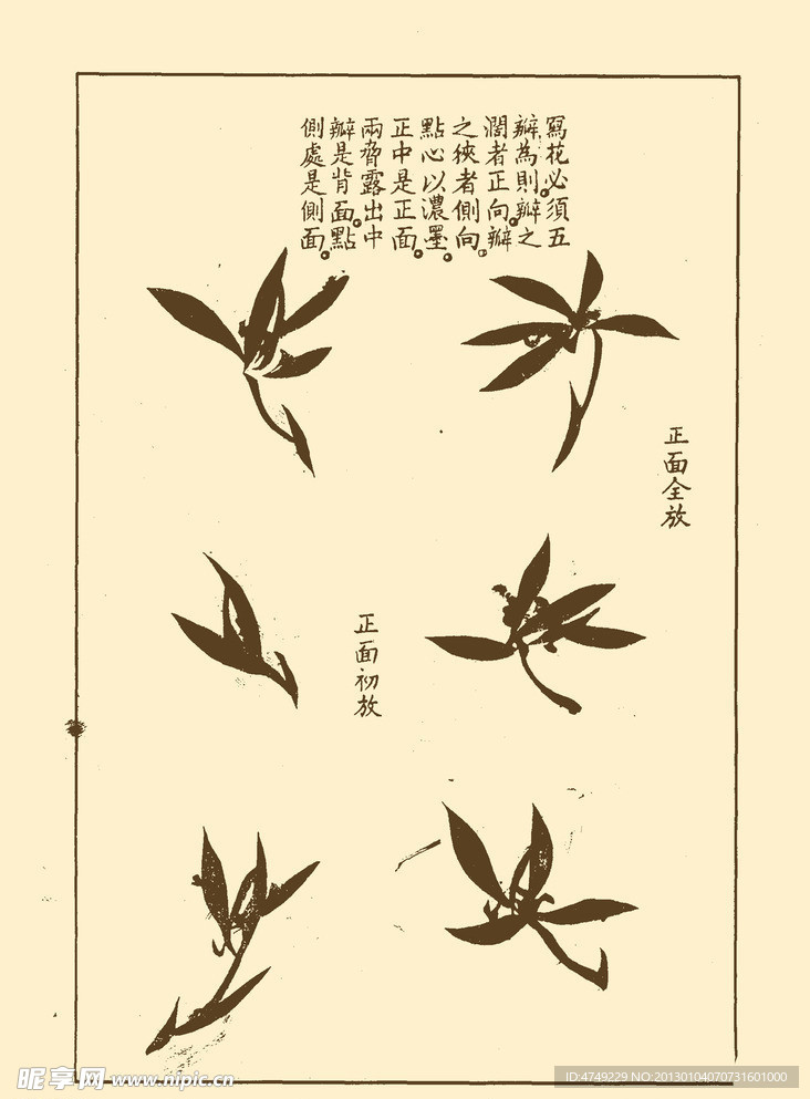芥子园画谱 兰花