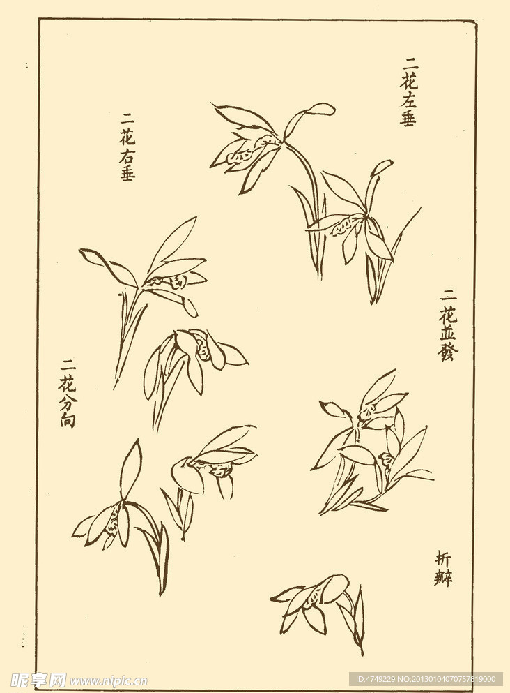 芥子园画谱 兰花