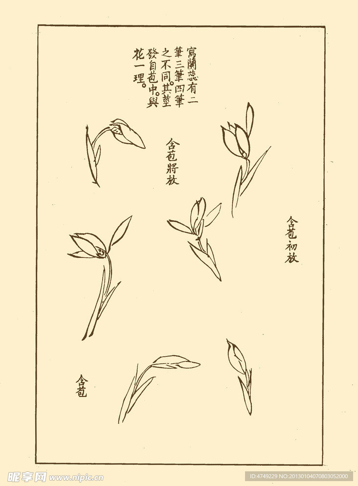芥子园画谱 兰花