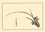 芥子园画谱 兰花