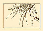 芥子园画谱 兰花