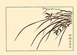 芥子园画谱 兰花