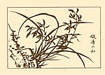 芥子园画谱 兰花
