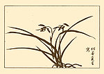 芥子园画谱 兰花