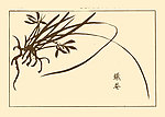 芥子园画谱 兰花