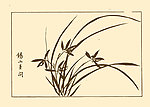 芥子园画谱 兰花