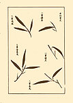 芥子园画谱 兰花