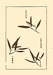 芥子园画谱 兰花