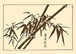 芥子园画谱 竹子