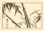 芥子园画谱 竹子