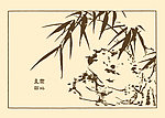 芥子园画谱 竹子