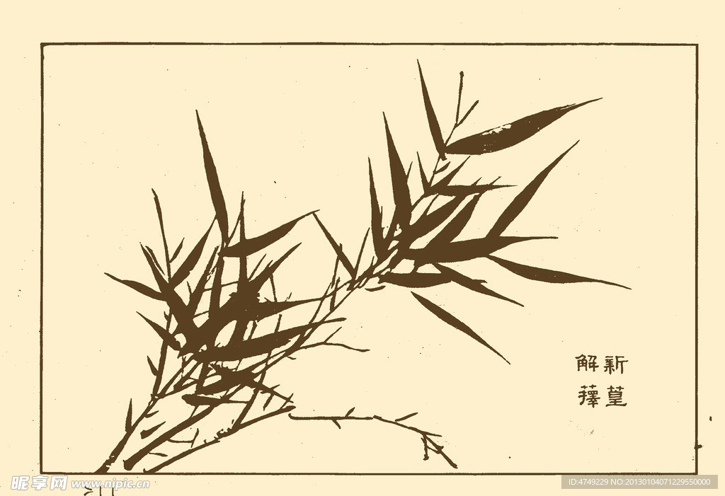 芥子园画谱 竹子
