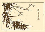 芥子园画谱 竹子