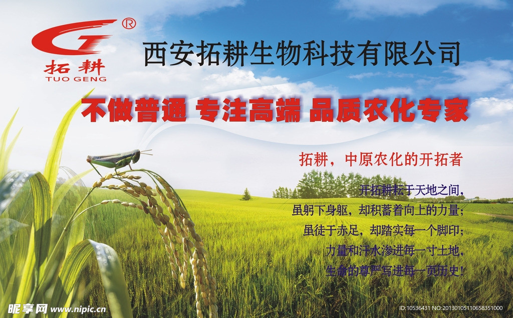 农业海报