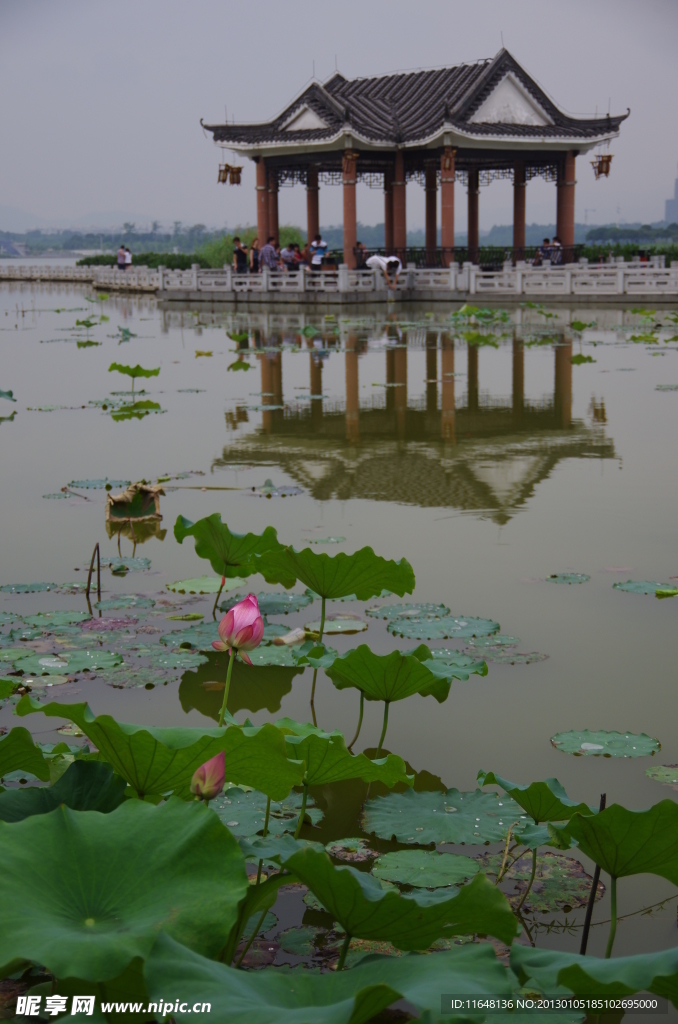 东莞市松山湖