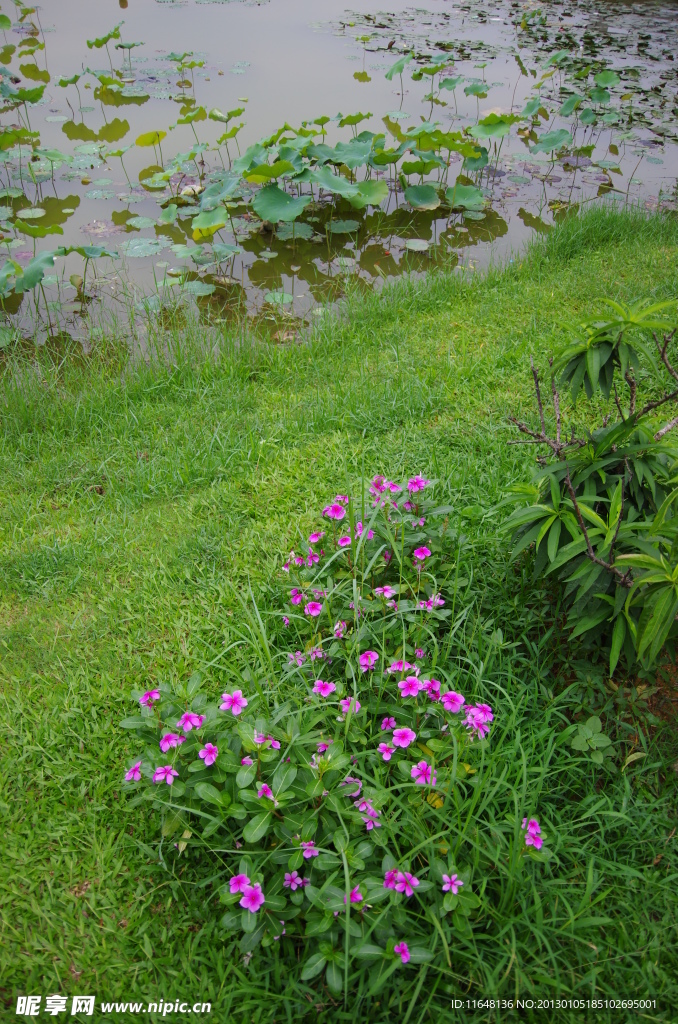 东莞市松山湖