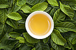 红茶