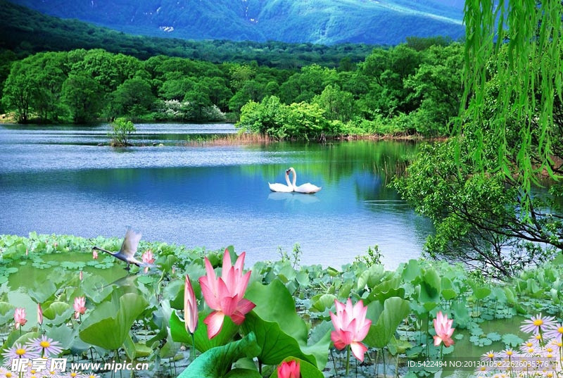 湖泊风景