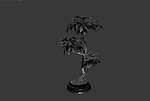 植物模型