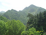 青山