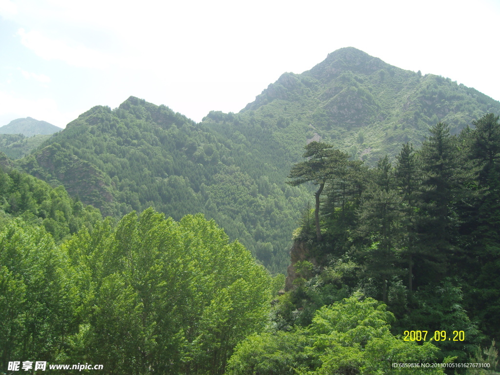青山