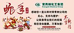常青树2013新年贺卡