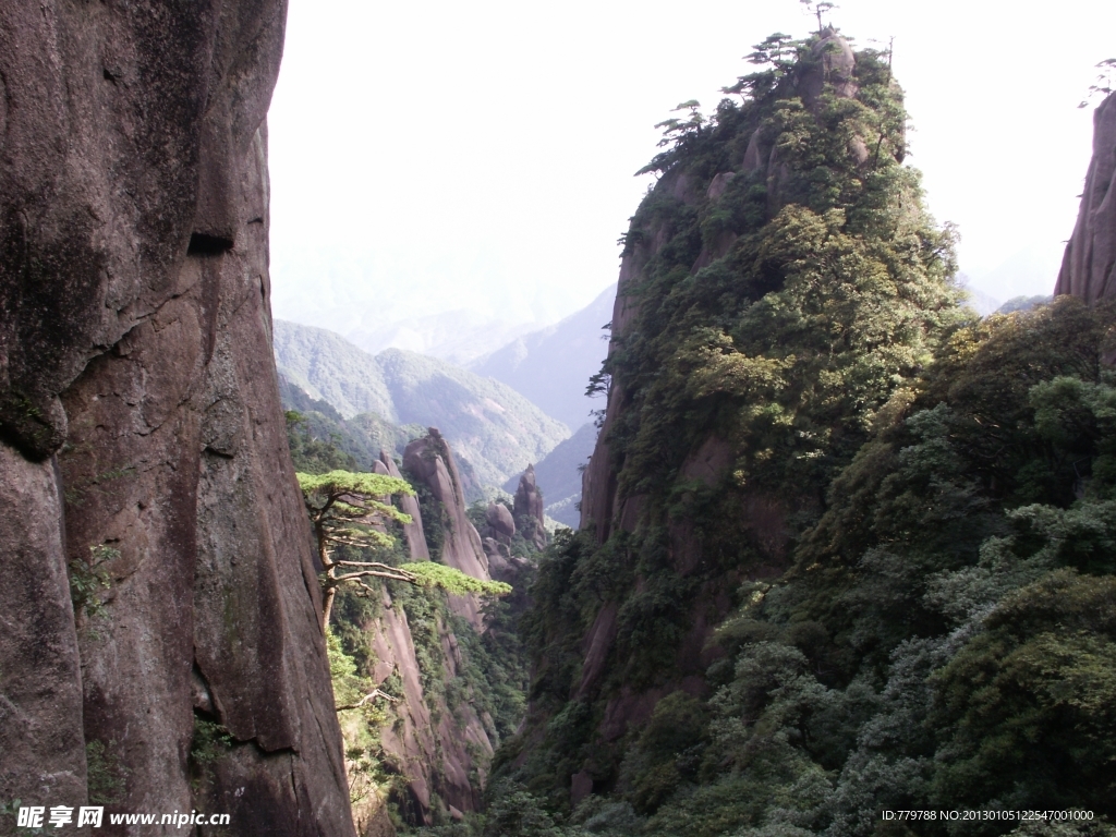松与山