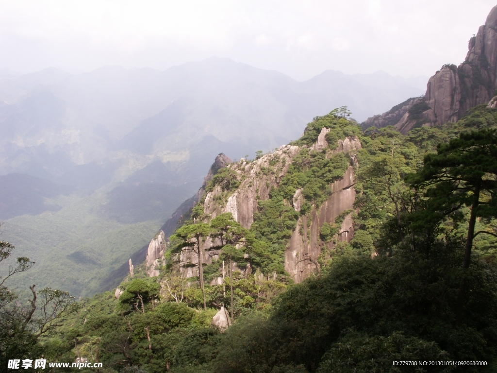 山峰与松树