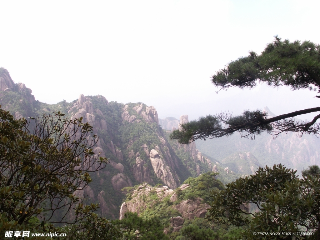 奇峰与松