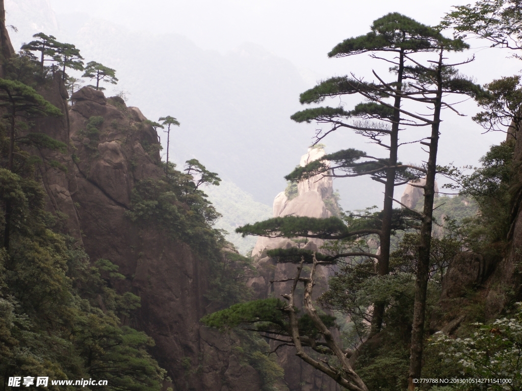 奇峰与山松