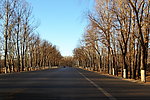新村的路道
