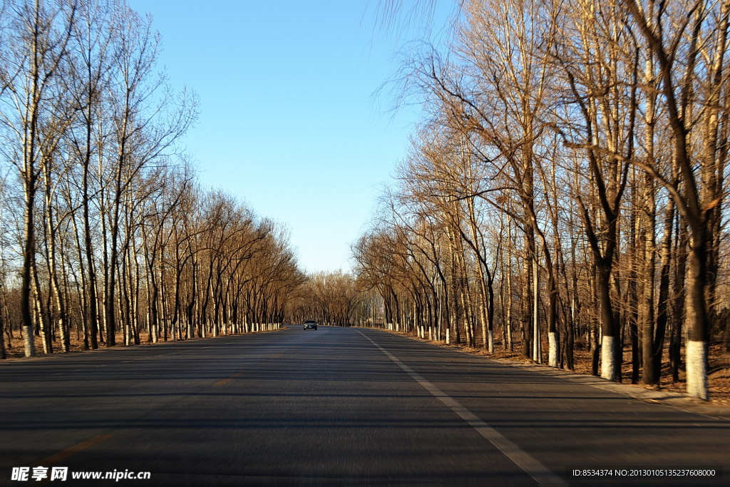 新村的路道