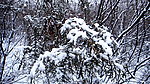 腊山的雪