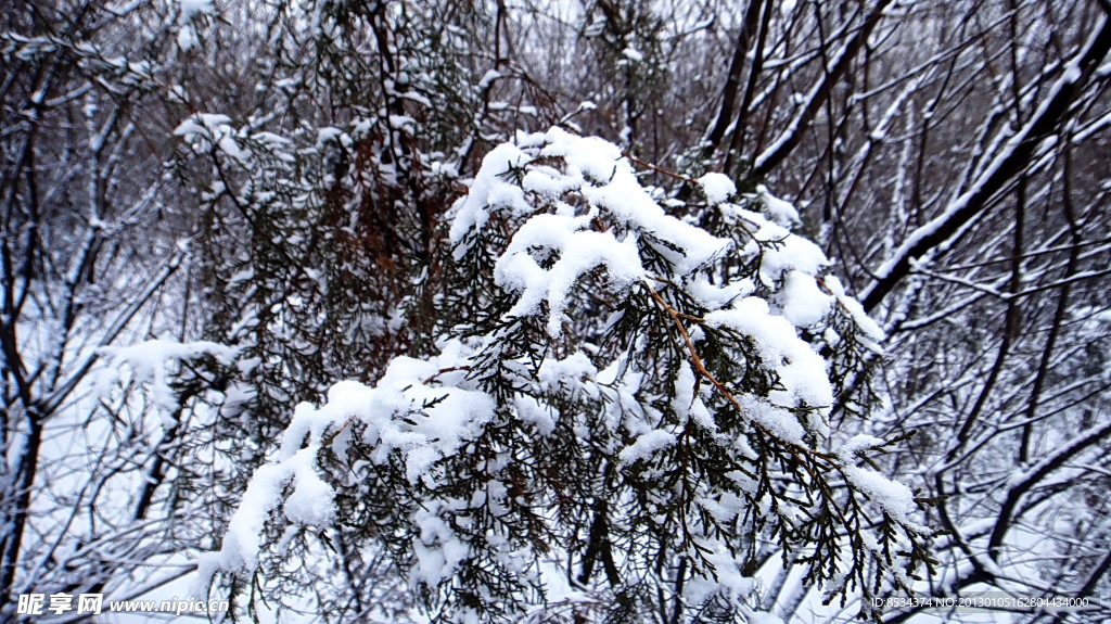 腊山的雪