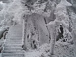 雪景