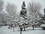 园林雪景