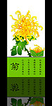 菊花