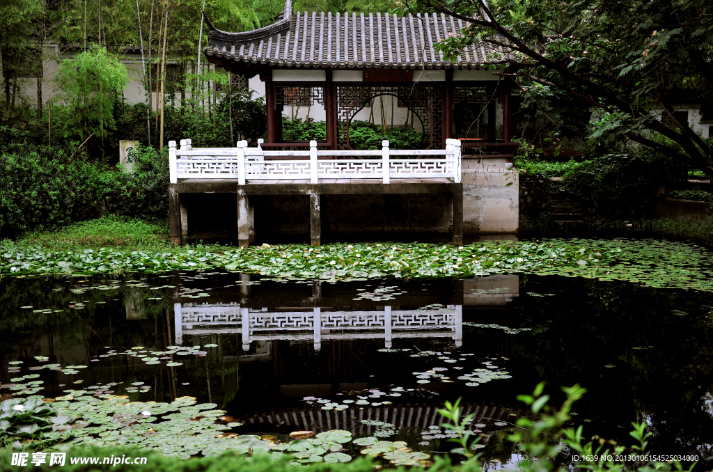 园林景观