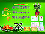 白花丹参茶