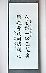 书法