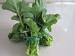 油菜苔