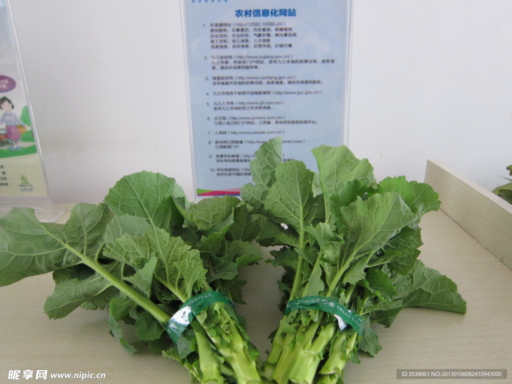 油菜苔